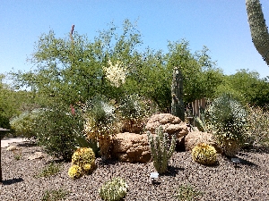 IMG 001 A 300x.jpg